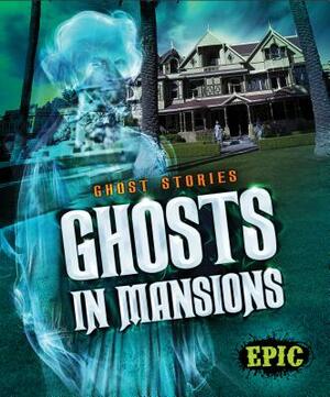 Ghosts in Mansions by Lisa Owings