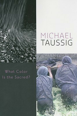 What Color Is the Sacred? by Michael Taussig