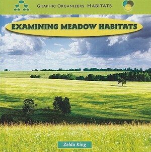 Examining Meadow Habitats by Zelda King