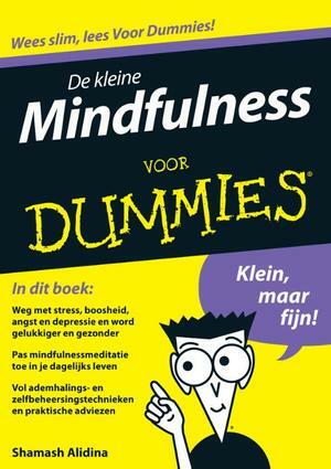 De kleine Mindfulness voor Dummies by Shamash Alidina