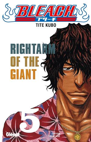 Bleach, Tome 5: Rightarm of the Giant by Tite Kubo