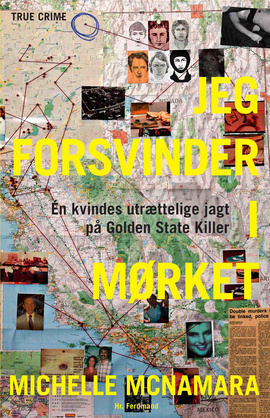 Jeg forsvinder i mørket by Michelle McNamara