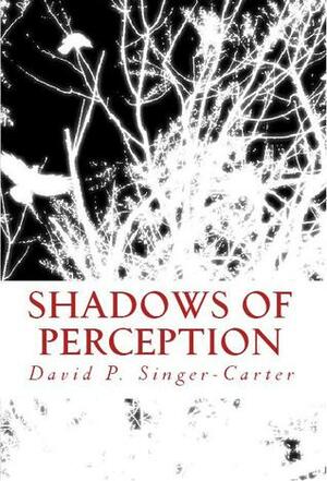 Shadows of Perception by Paris Singer