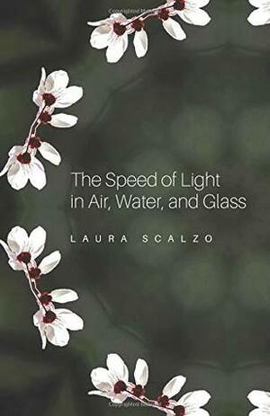 The Speed of Light in Air, Water, and Glass by Laura Scalzo