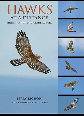 Hawks at a Distance: Identification of Migrant Raptors by Jerry Liguori