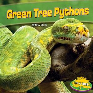 Green Tree Pythons by Willow Clark