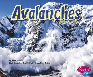 Avalanches by Mari Schuh