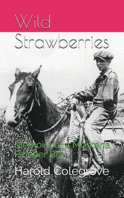 Wild Strawberries by Angela Thirkell