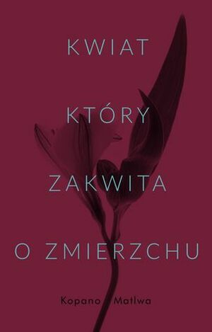 Kwiat, który zakwita o zmierzchu by Kopano Matlwa, Magdalena Słysz