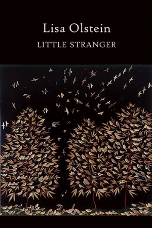 Little Stranger by Lisa Olstein