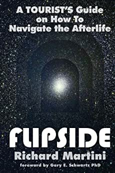 Flipside : A Tourist's Guide on How to Navigate the Afterlife by Richard Martini, Gary E. Schwartz