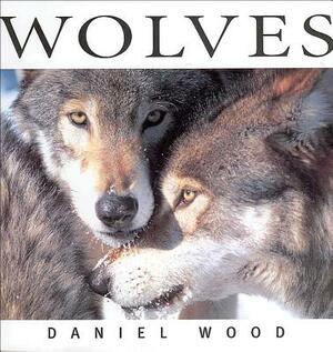 Wolves by Daniel Wood