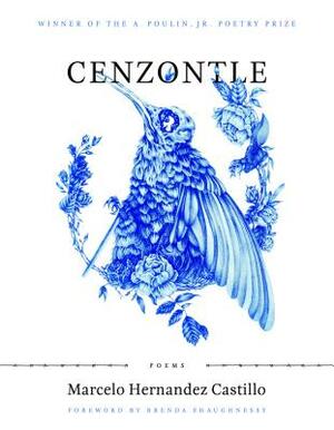 Cenzontle by Marcelo Hernandez Castillo