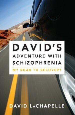 David's Adventure with Schizophrenia: My Road to Recovery by David Lachapelle