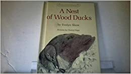 A Nest of Wood Ducks by Evelyn S. Shaw