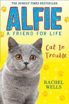 Alfie Cat in Trouble by Rachel Wells