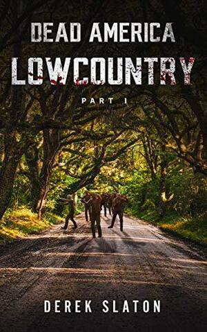Dead America - Lowcountry Pt. 1 by Derek Slaton