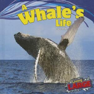 A Whale's Life by Sara Antill