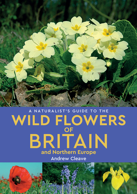 A Naturalist's Guide to Wild Flowers of Britain & Northern Europe by Andrew Cleave