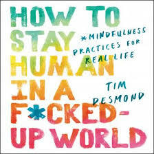 How to Stay Human in a F*cked-Up World: Mindfulness Practices for Real Life by Tim Desmond
