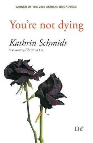 You're not dying by Kathrin Schmidt