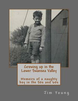 Growing up in the Lower Swansea Valley: Memoirs of a naughty boy in the 50s and 60s by Jim Young
