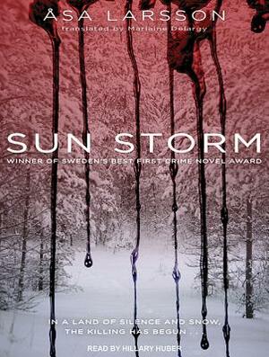 Sun Storm by Asa Larsson