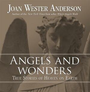 Angels and Wonders: True Stories of Heaven on Earth by Joan Wester Anderson