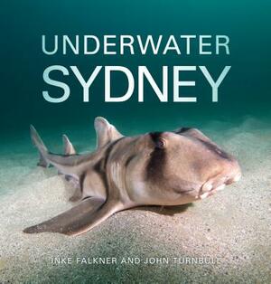 Underwater Sydney by Inke Falkner, John Turnbull