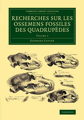 Recherches sur les ossemens fossiles des quadrupèdes - Volume 4 by Georges Cuvier