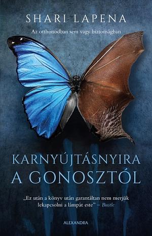 Karnyújtásnyira a gonosztól by Shari Lapena