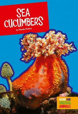 Sea Cucumbers by Wendy Perkins