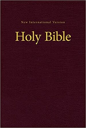 NIV, Economy Bible by Anonymous