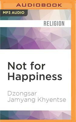 Not for Happiness: A Guide to the So-Called Preliminary Practices by Dzongsar Jamyang Khyentse