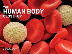 The Human Body Close-Up by John Clancy