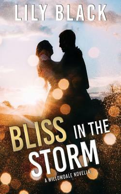 Bliss in the Storm: A Willowdale Novella by Lily Black