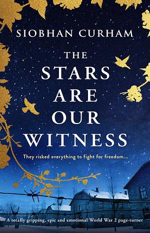 The Stars Are Our Witnesses by Siobhan Curham