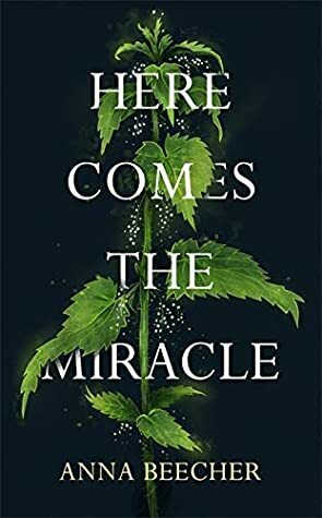 Here Comes the Miracle by Anna Beecher