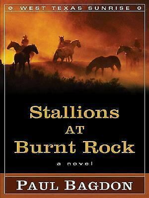 Stallions At Burnt Rock by Paul Bagdon