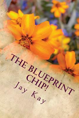The Blueprint Chip!: Adventure, Action, Thriller by Jay Kay