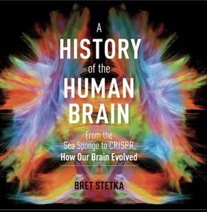 A History of the Human Brain: From the Sea Sponge to CRISPR, How Our Brain Evolved by Bret Stetka