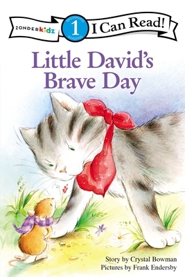 Little David's Brave Day by Crystal Bowman