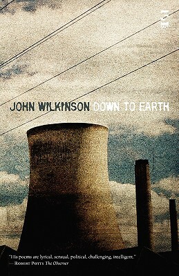 Down to Earth by John Wilkinson