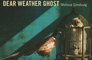 Dear Weather Ghost by Melissa Ginsburg