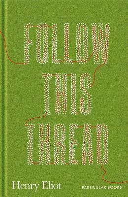 Follow This Thread: A Maze Book to Get Lost In by Henry Eliot