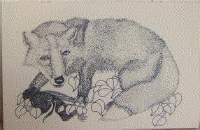 3 Day Fox : A Tattoo by Katherine Dunn, Alaina Lara