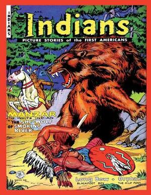 Indians #7 by Fiction House