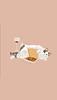 mmorevna's profile picture