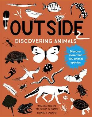 Outside: Discovering Animals by Maria Ana Peixe Dias, Ines Teixeira Do Rosario