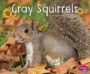 Gray Squirrels by G. G. Lake
